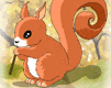 scoiattoli 8