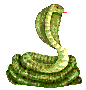 serpenti 107
