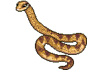 serpenti 133
