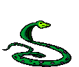 serpenti 28