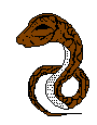 serpenti 40