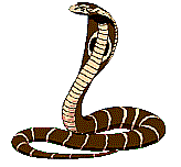 serpenti 54