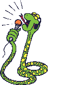 serpenti 79