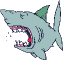 squali 91