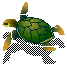 tartarughe 16