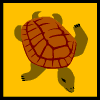 tartarughe 26