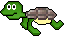 tartarughe 4