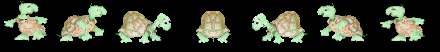 tartarughe 86