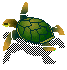 tartarughe 97