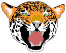 tigre leone 18