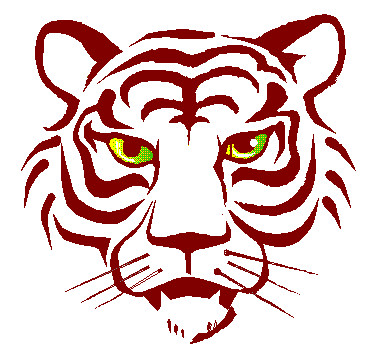 tigre leone 27