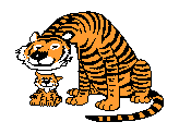 tigre leone 28
