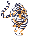 tigre leone 63