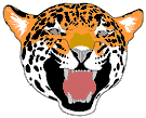 tigre leone 90