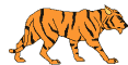 tigre leone 94