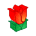 tulipani 10