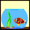 aquario 32