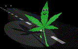 cannabis 3