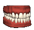 dentiera 5