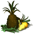 ananas 5