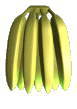 banana 23