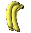banana 24