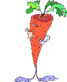 carote 25
