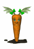 carote 26