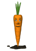 carote 39