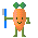 carote 5