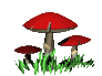 funghi 39