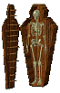scheletri 13