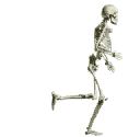 scheletri 19