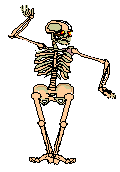 scheletri 33