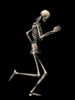 scheletri 38
