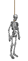 scheletri 40
