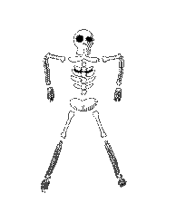scheletri 42