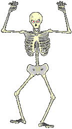 scheletri 44