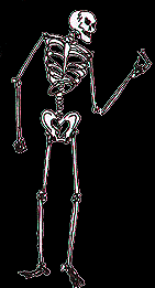 scheletri 45