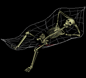 scheletri 46