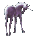 unicorni 24