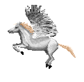 unicorni 58