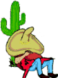 cactus 20