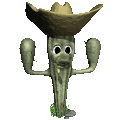 cactus 27