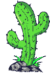 cactus 33