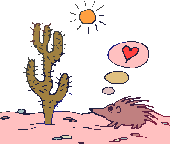 cactus 34