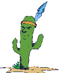 cactus 37