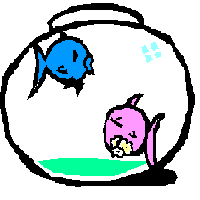 pesci 23
