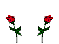 rose 123