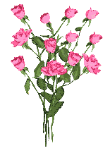 rose 179